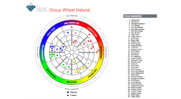 TTISI DISC Team Behavioural Report Group Wheel Image