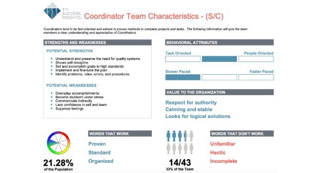 TTISI Team Behavioural Report Key Information Page Image