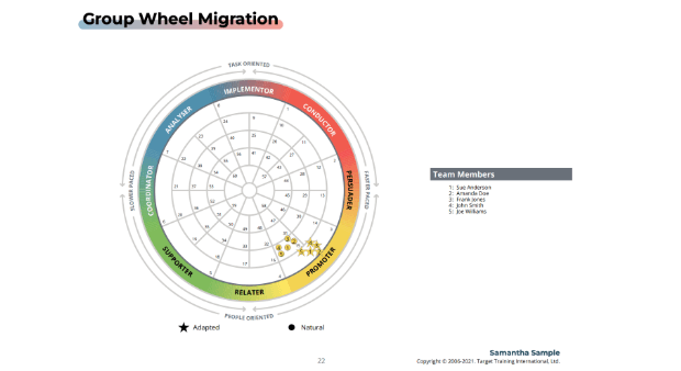 TTI Success Insights®Team Wheel Image