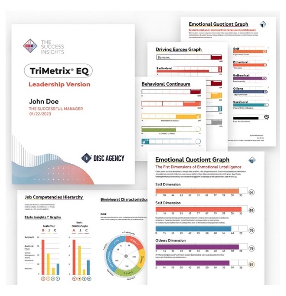 Hero Image of DISC Profiles Offered by The DISC Agency