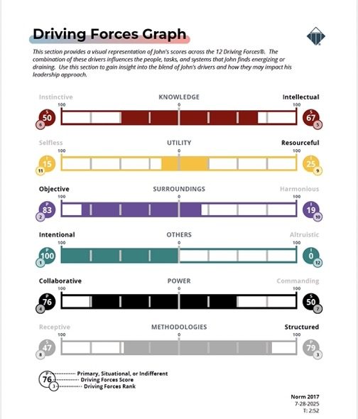 TTISI TriMetrix EQ Leadership Report Driving Forces Graph Image