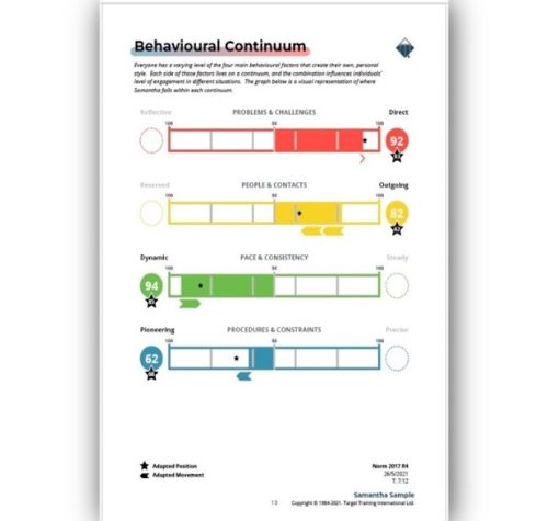 DISC TTISI Relationship Insights Behavioural Continuum Graph Image